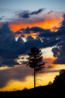 Sunser in Flagstaff