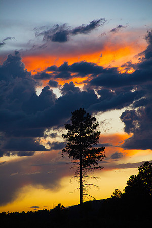 Sunser in Flagstaff