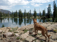 Arrow Hiking in the Uinta Mountains of Utah