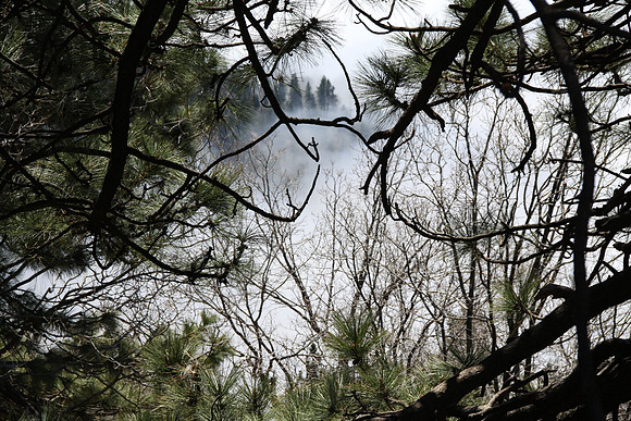 LakeArrowHead