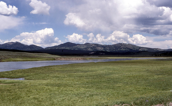 YellowstoneMeadow2