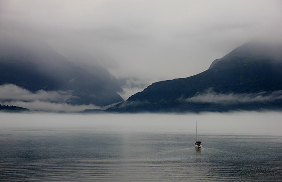 Valdez Fog