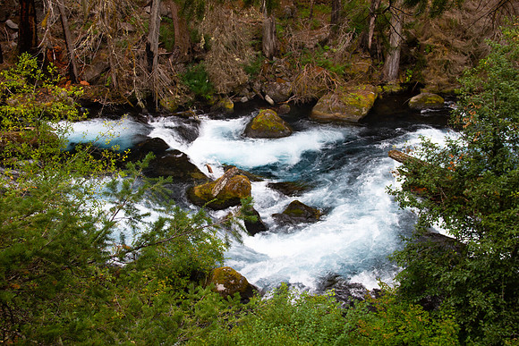 McKenzieriverrapid