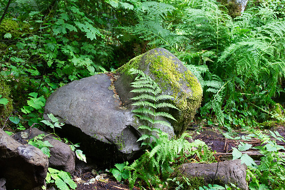 Doubleheartrock
