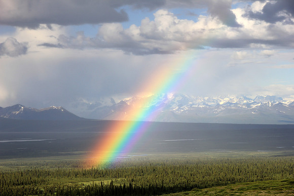DenaliRainbow