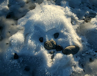 Snow Creature, Matanuska River, Palmer Alaska