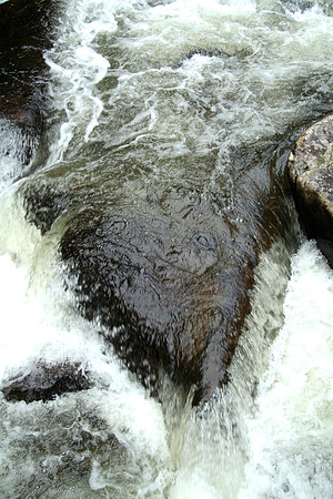 Brown White Water